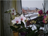 c30c2671-Picture 3769.jpg